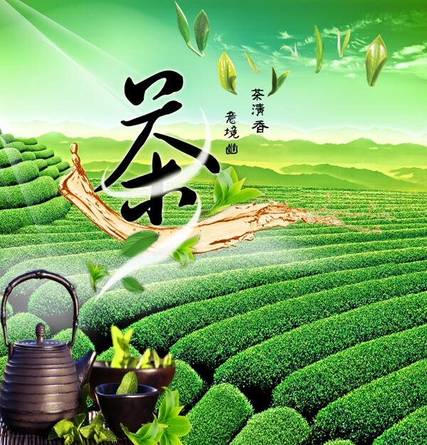 茶葉海報(bào)圖片