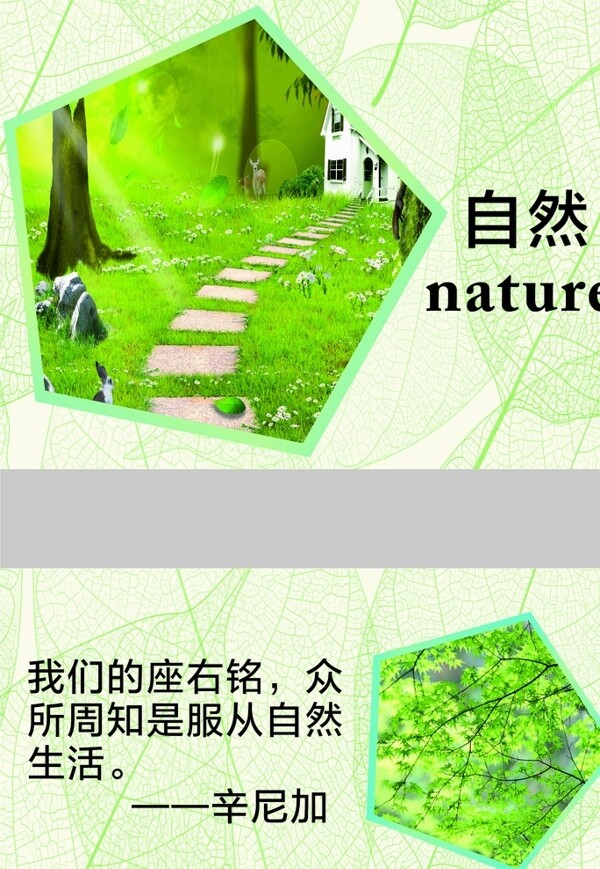自然科學展板