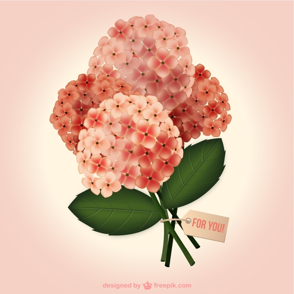 花束花朵素材