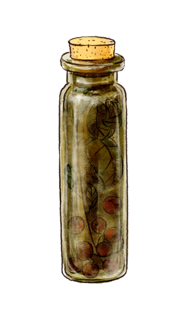 瓶子高質(zhì)量手繪插畫素材psd文件