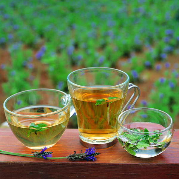 茶道圖片