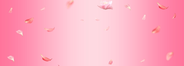 情人节浪漫玫瑰花瓣背景
