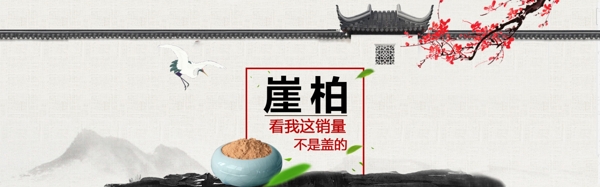 崖柏海報(bào)