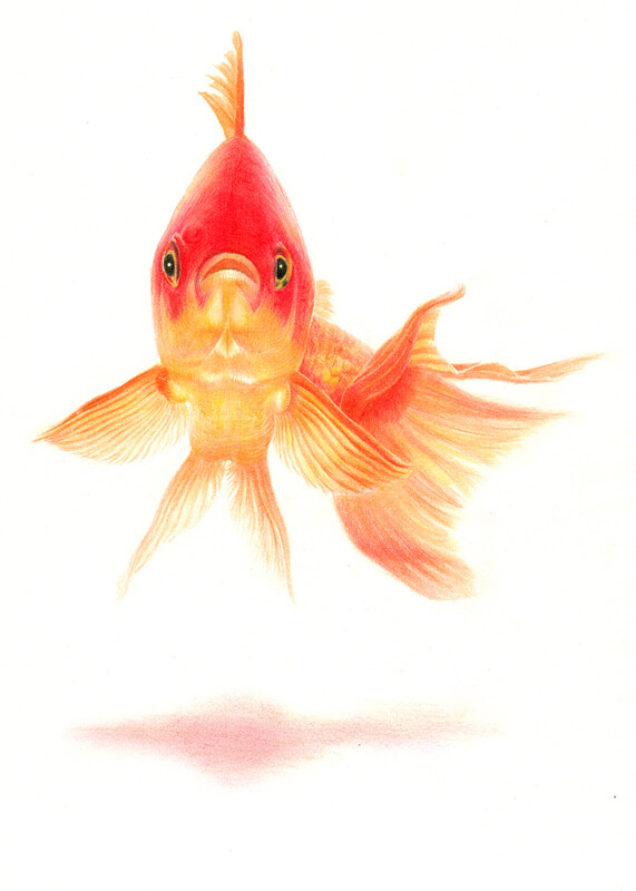 位圖插畫時尚插畫動物插畫藝術效果免費素材