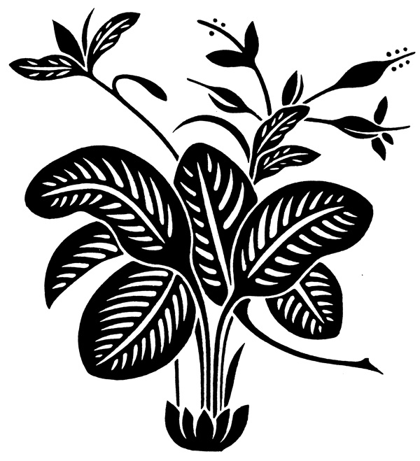 清代花鳥圖案中國(guó)傳統(tǒng)圖案0060