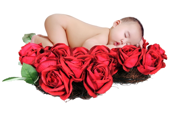 睡在玫瑰花上的婴儿扣好图片