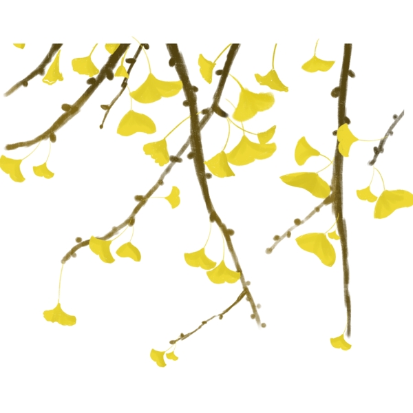 黄色系秋季银杏树树叶凋落png