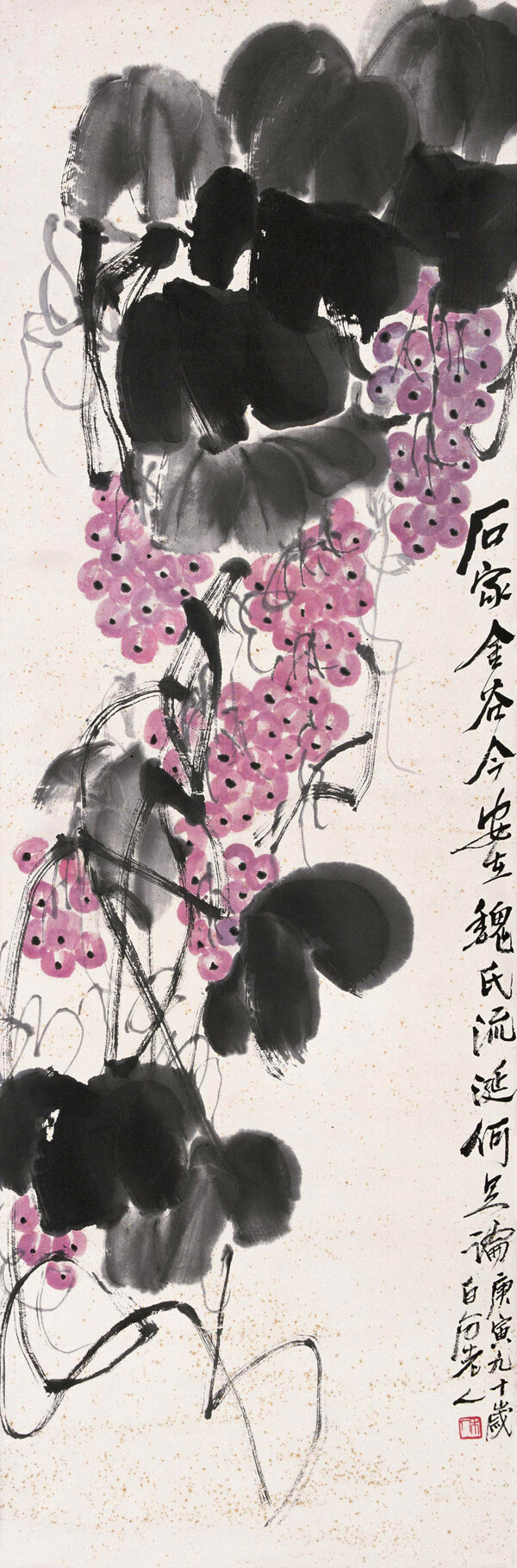 葡萄圖片