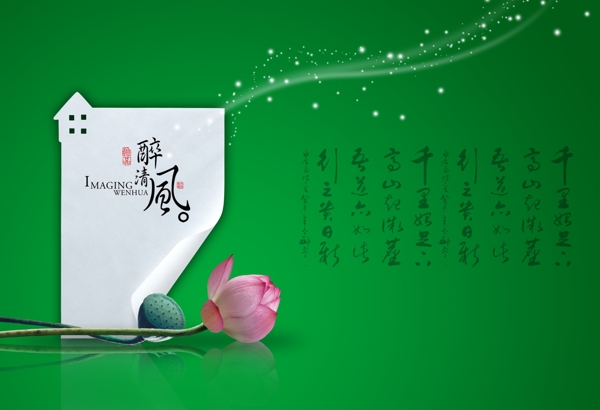 古典荷花圖片