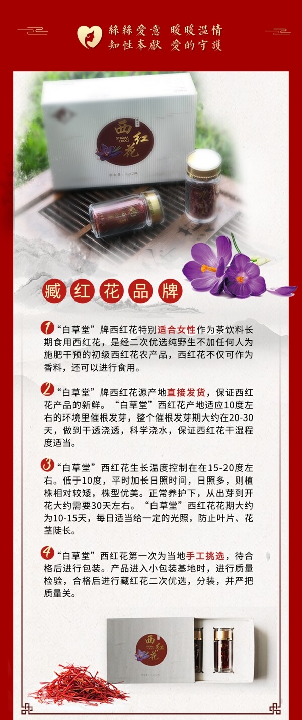 藏红花产品介绍传统中国风