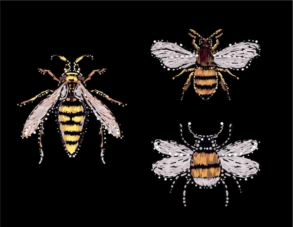 昆虫绣花蜜蜂服装