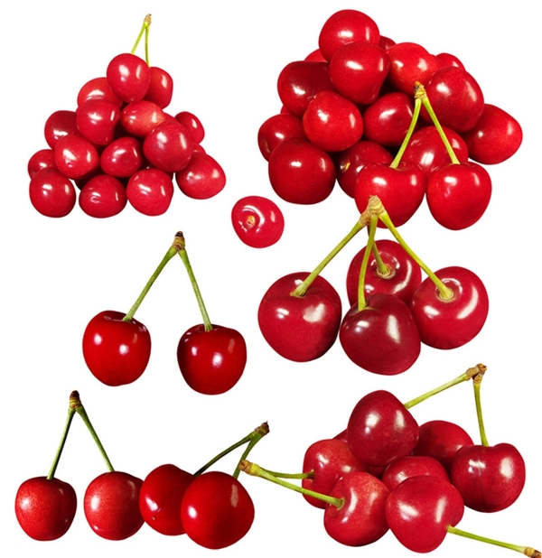 紅櫻桃素材圖片
