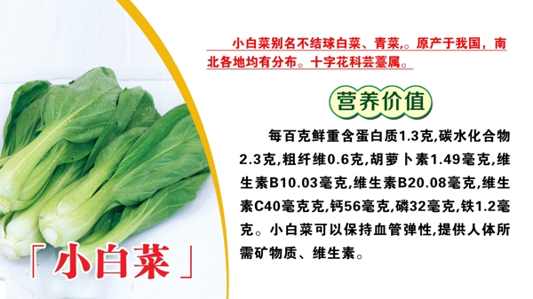 小白菜簡介圖片