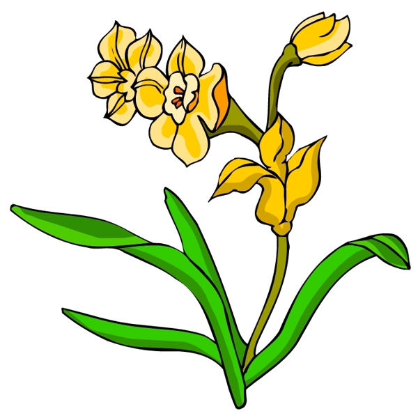 花卉古典插畫(huà)