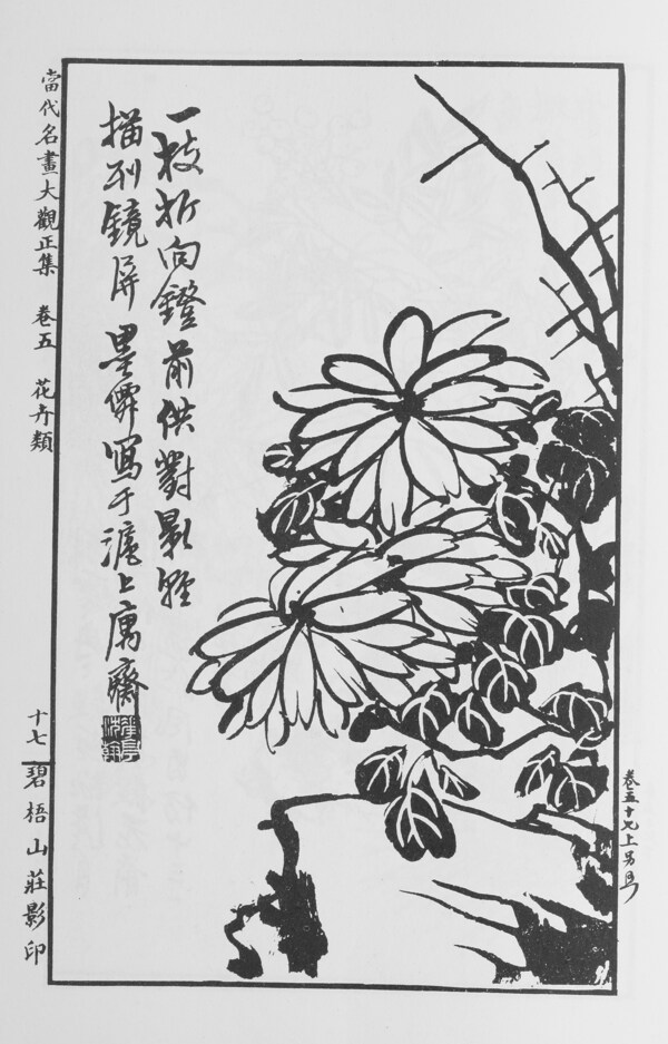 花卉画中国画当代名画大观正集28