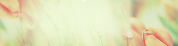 淘寶背景banner