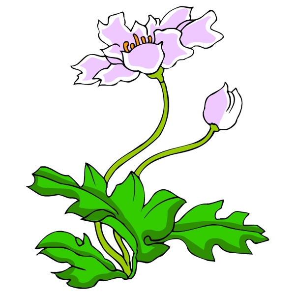 花卉古典插畫
