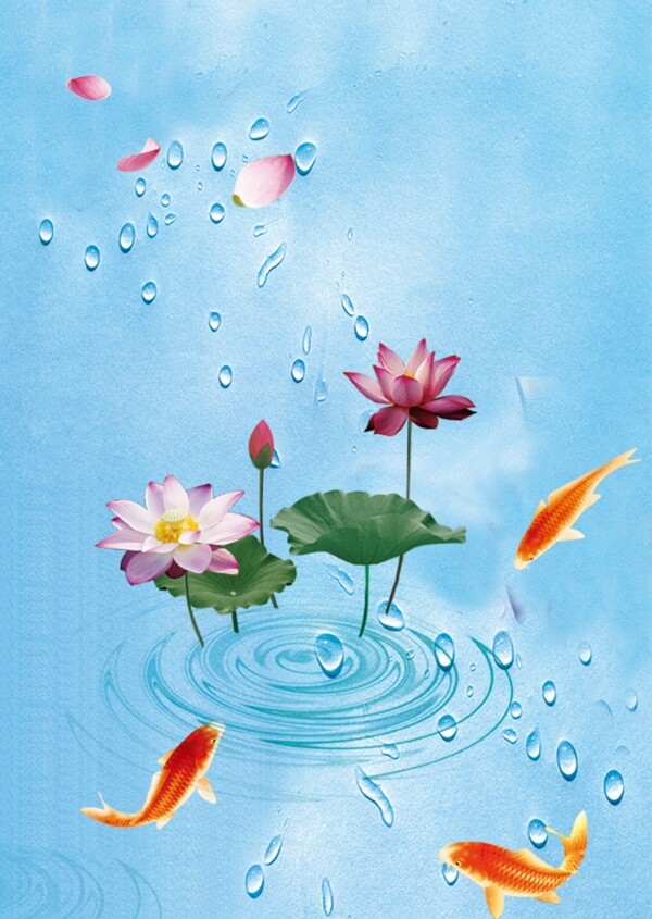 藍(lán)色荷花魚(yú)
