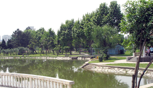 CSTP2