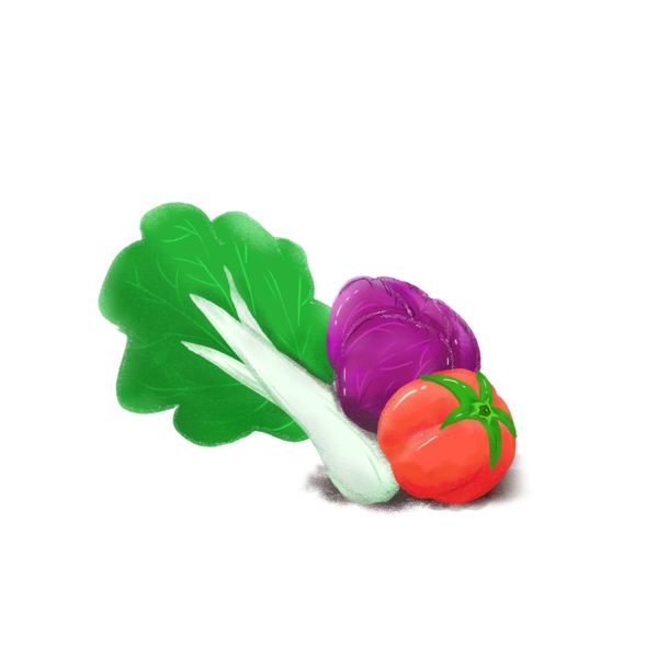 健康蔬菜果蔬大白菜紫包菜红番茄手绘可爱