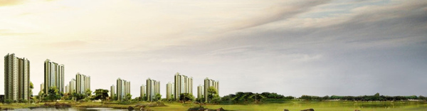 企業(yè)文化banner