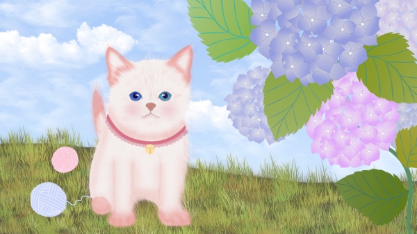 蓝天白云下草地上可爱的猫咪
