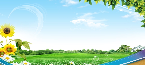 清新教育banner背景