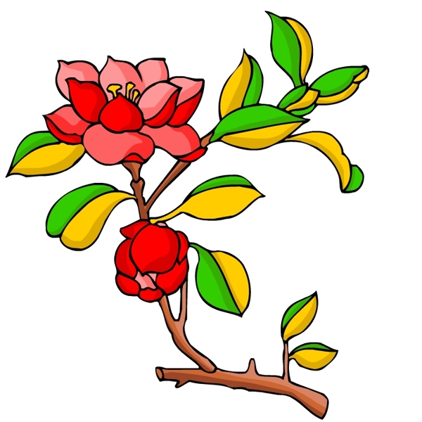 花卉古典插畫
