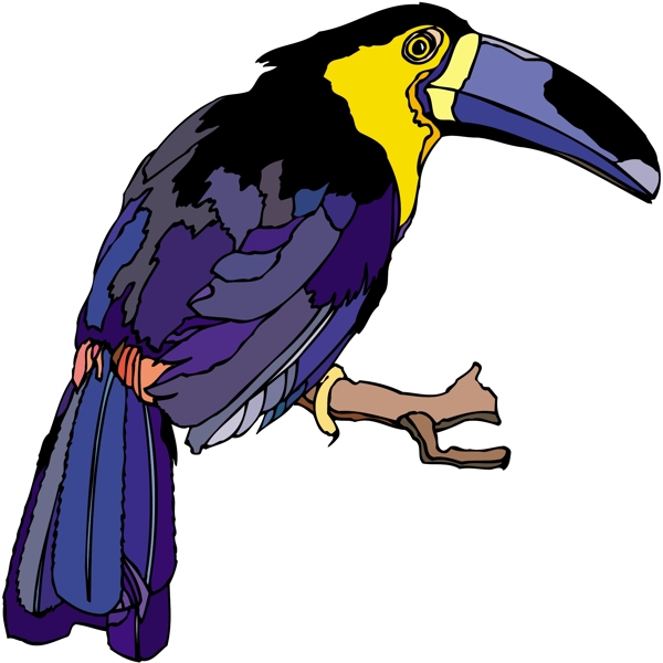 各種鳥(niǎo)類(lèi)鳥(niǎo)動(dòng)物矢量素材EPS格式1533