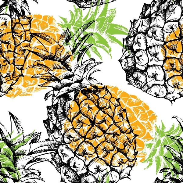 菠蘿水果
