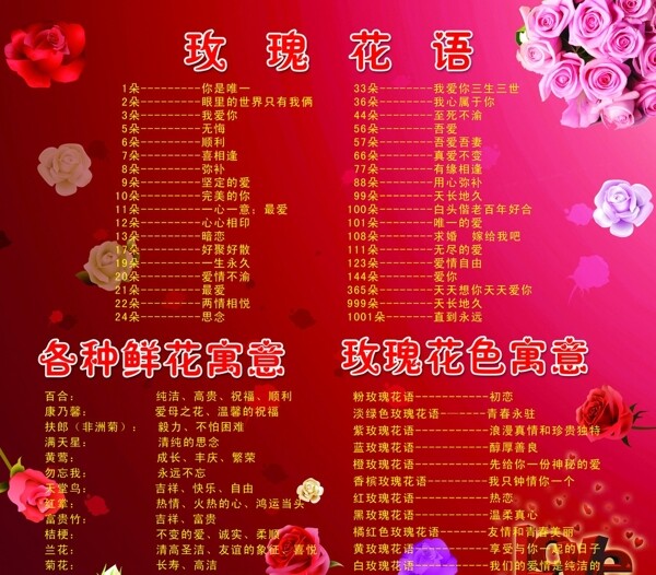 玫瑰花語圖片