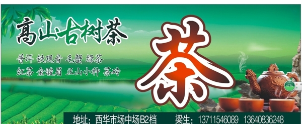 高山古樹茶圖片