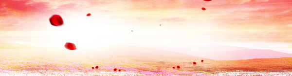淘寶背景banner