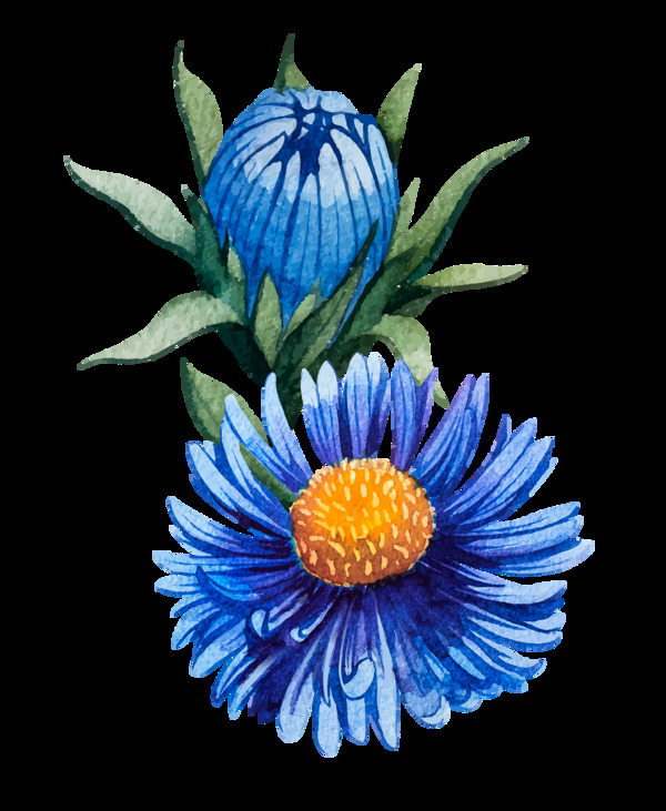 魅惑蓝色手绘菊花装饰元素