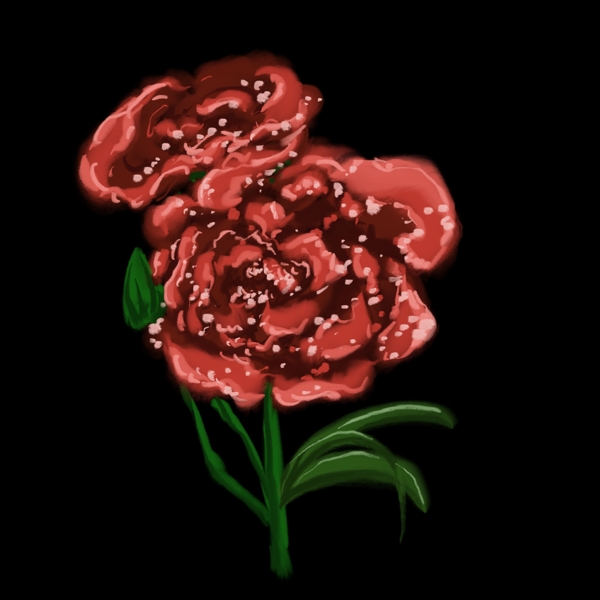 两朵红色的花插图