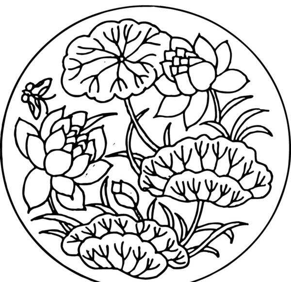 荷花花卉白描矢量線