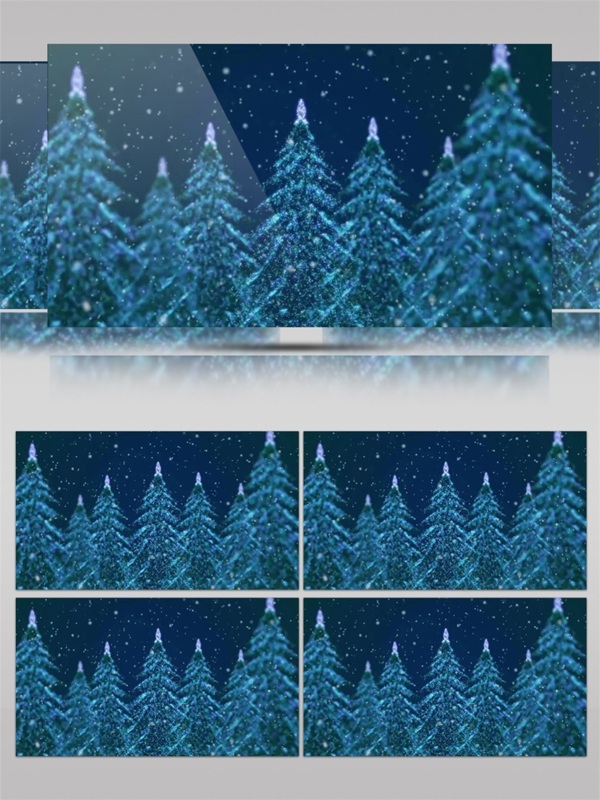 夜色森林圣诞节视频素材