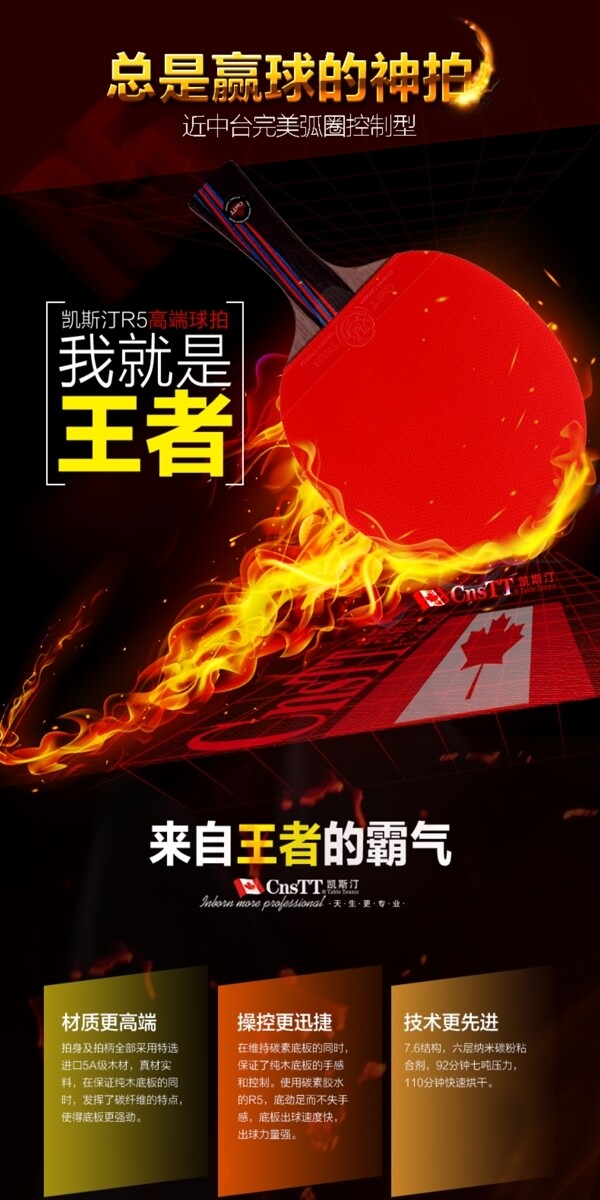 高端乒乓球拍詳情運動