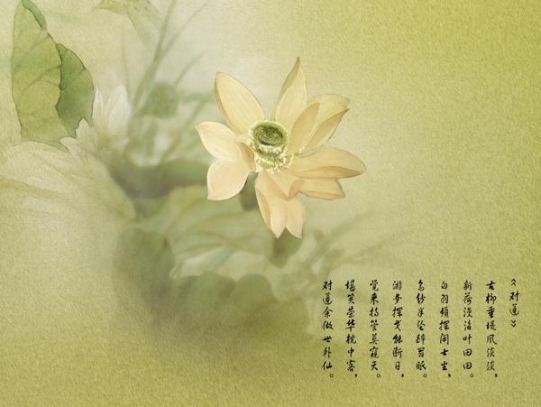 影樓畫冊(cè)