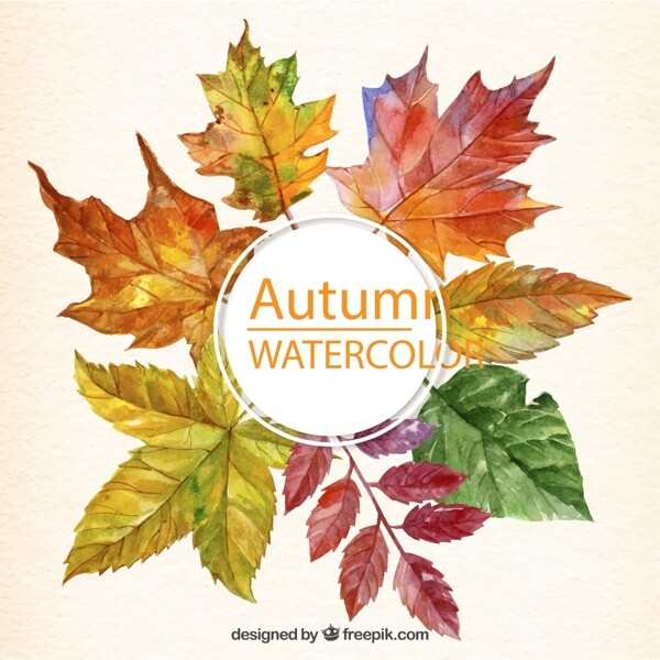秋季树叶框架图片