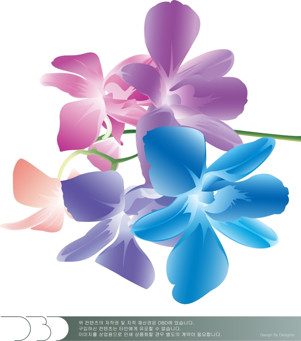 五彩花的