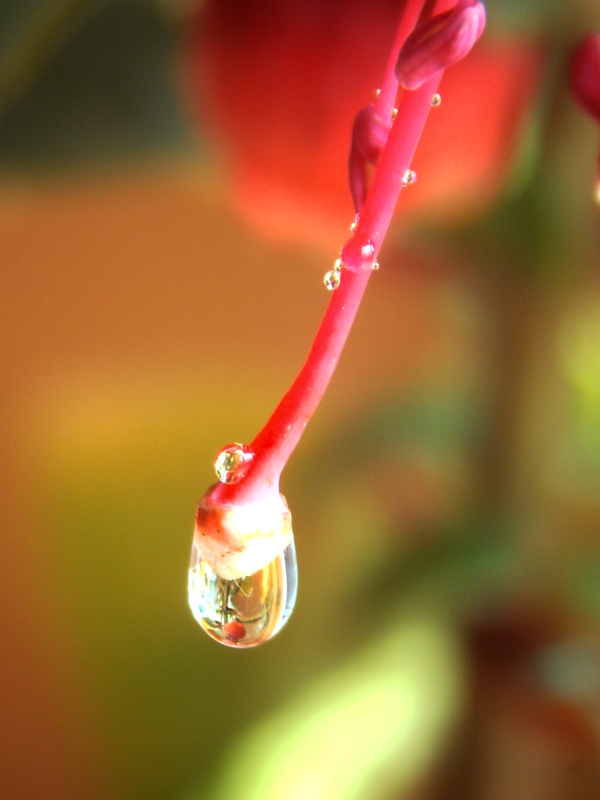 水滴圖片