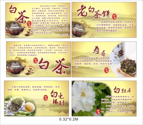 茶文化介紹資料CDR