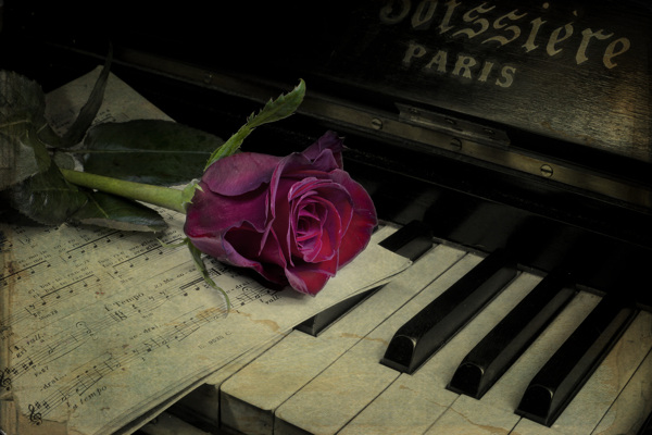 怀旧复古钢琴玫瑰