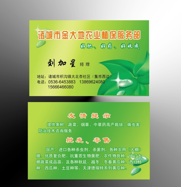 種子超市名片金大地圖片