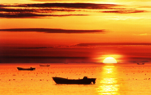 夕陽