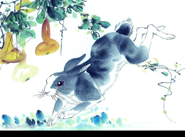 生肖圖圖片