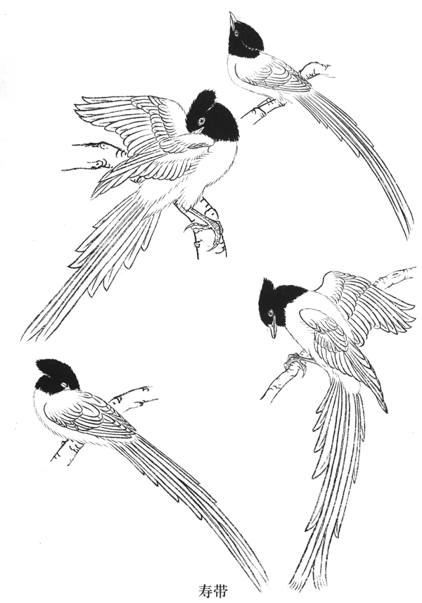 中式古典花鸟工笔画图片