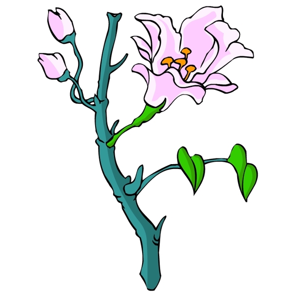 花卉古典插畫