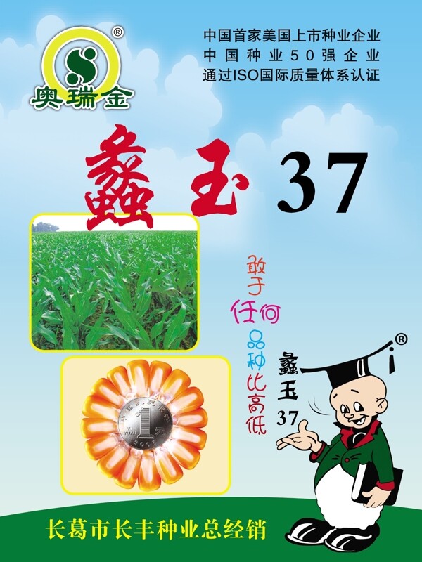 種子圖片